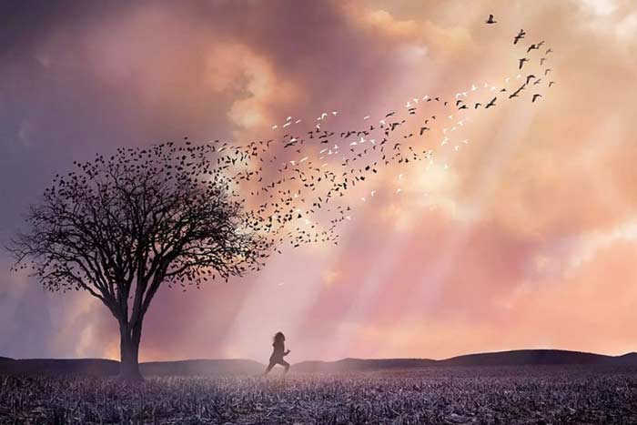 Погодные явления приметы в природе