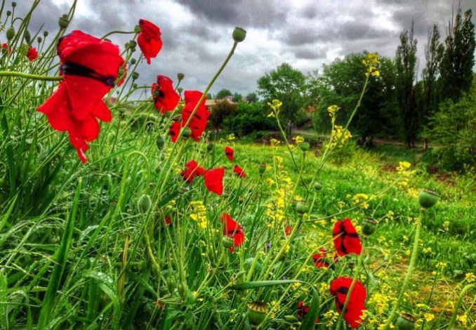 народные приметы на сегодняшний день по погоде