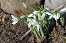 народные приметы на сегодняшний день по погоде