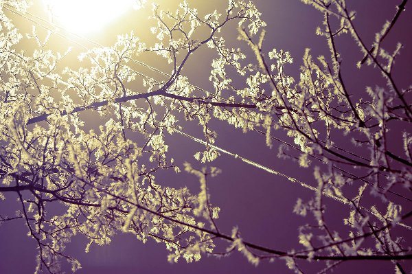 Народные приметы о погоде весной