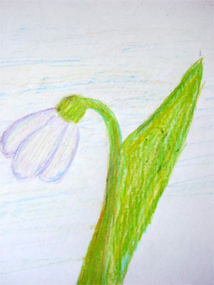 Подснежник