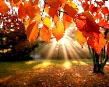 приметы про осень