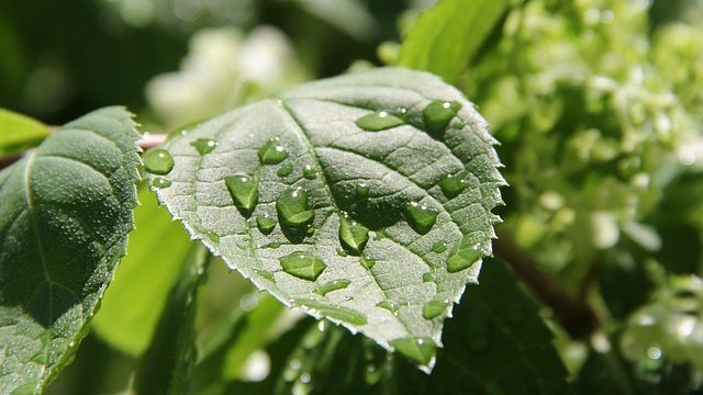 народные приметы на сегодняшний день по погоде