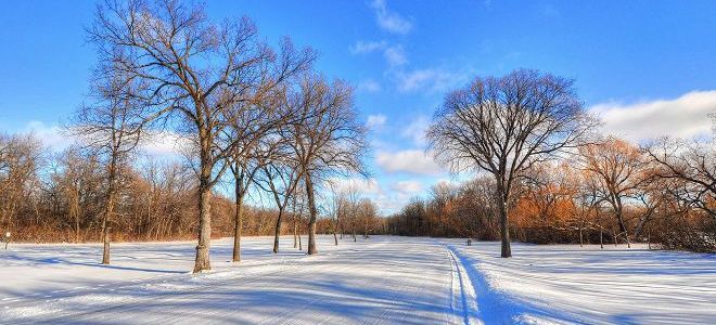 прочитай соедини народные приметы для определения погоды