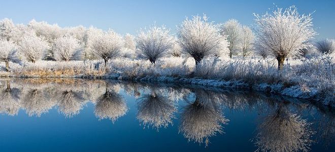 приметы на сретение