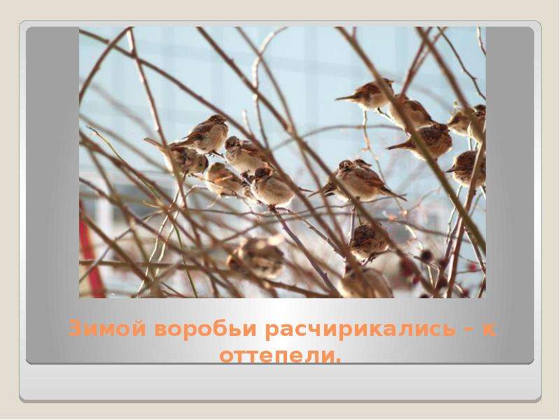 Народные приметы, с помощью которых можно предсказать погоду, слайд №9