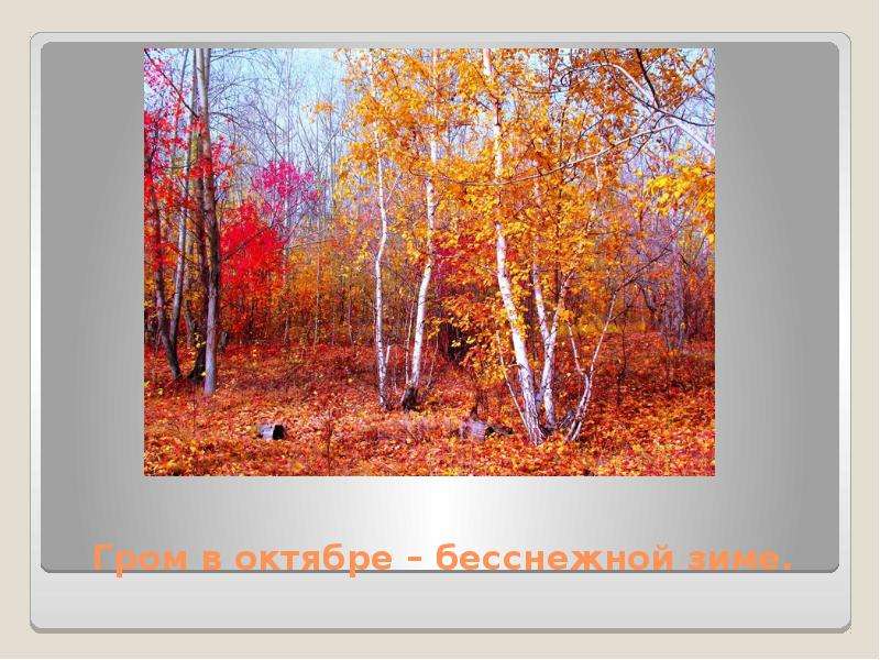 Народные приметы, с помощью которых можно предсказать погоду, слайд №17