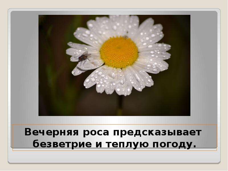 Народные приметы, с помощью которых можно предсказать погоду, слайд №2