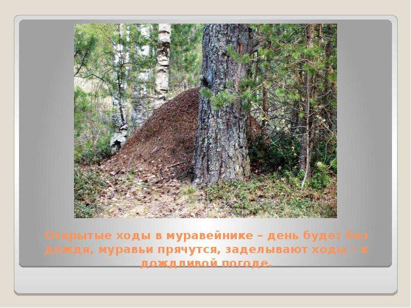 Народные приметы, с помощью которых можно предсказать погоду, слайд №4