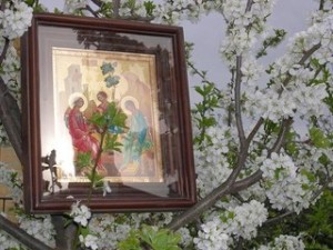 32453765878679087546734