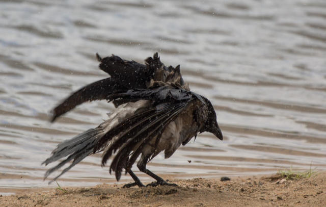 Народные приметы о природе и погоде - значение, варианты толкований, советы