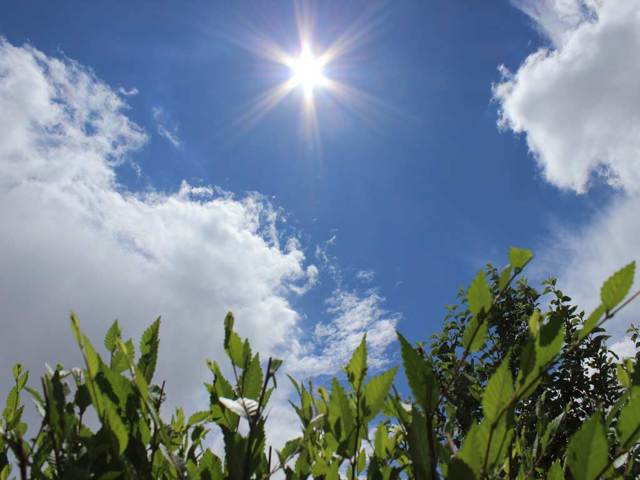 Народные приметы о природе и погоде - значение, варианты толкований, советы