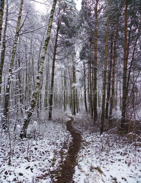 Народные приметы про осень