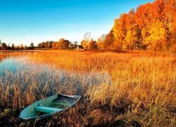 Народные приметы про осень