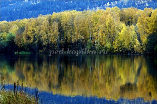 Народные приметы про осень