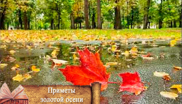 Народные приметы про осень