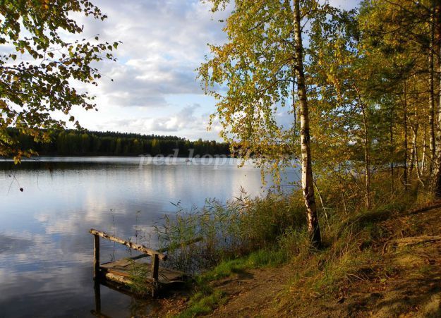 Народные приметы про осень