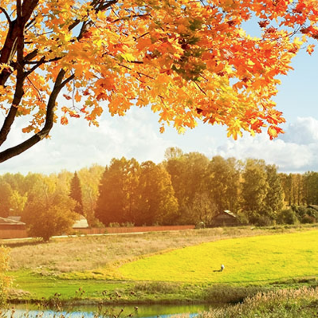 Народные приметы про осень