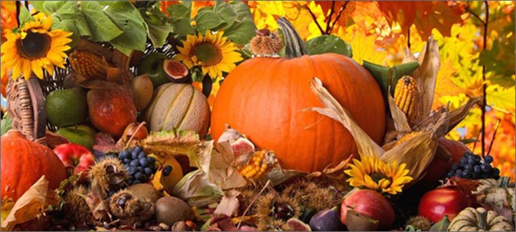 богатый-урожай