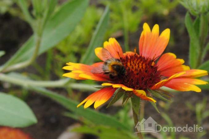 народные приметы и погода