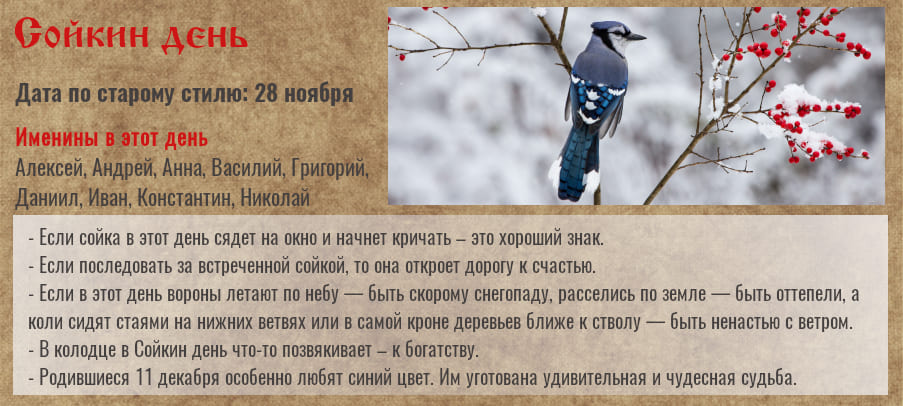 Сойкин день