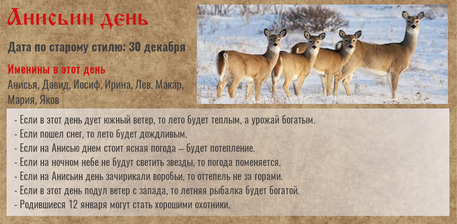 Платон и Роман Зимоуказатели