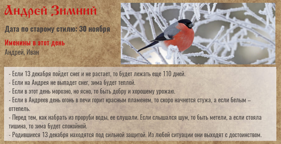 Андрей Зимний