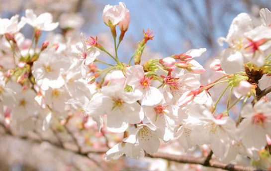 Календарь погоды и примет на май