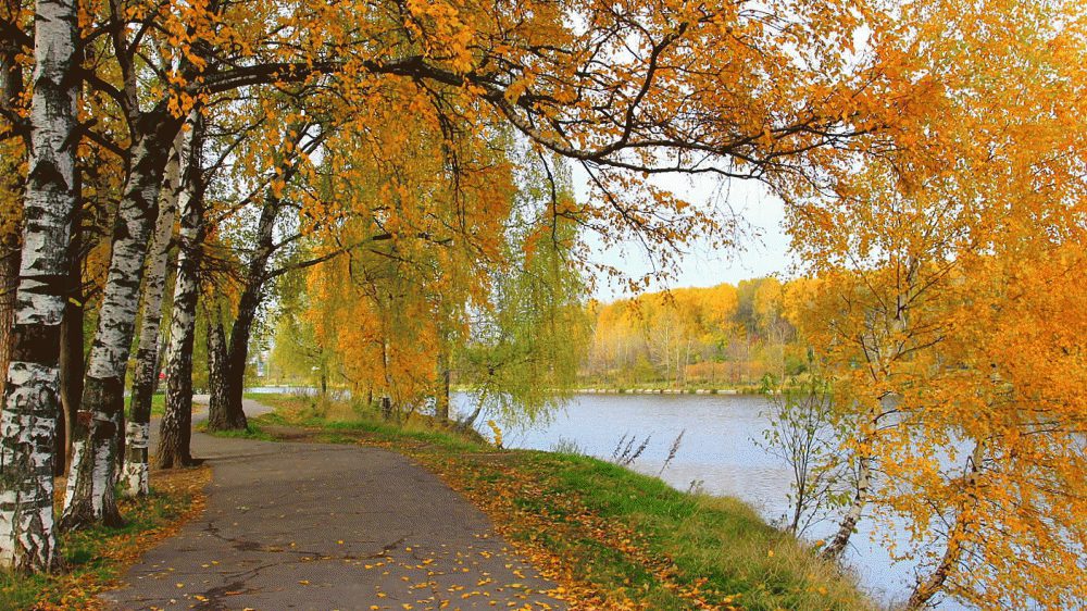Календарь примет и традиций на октябрь месяц