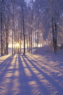 , Народный календарь, приметы и суеверия на декабрь, Общие декабрьские приметы, Народный календарь февраря, фквральские приметы, приметы декабря на каждый день народный календарь в декабре, какие приметы есть в декабре, все про фвраль, зимние приметы, народный календарь, приметы и суеверия, на декабрь, декабрь, зима, приметы на декабрь, народный календарь на декабрь, погода в декабре, зима, зимние месяцы, приметы про зиму, народные приметы, декабрьские приметы, зимние приметы, праздники декабря, 1 декабря, календарь примет, народные поверья, снег в декабре, Масленица, еонец зимы, проводы зимы, про приметы, про поверья, про декабрь, про зиму,зима, зимние месяцы, календарь народный, мудрость народная, декабрь, приметы на декабрь, традиции декабря , календарь примет, календарь декабря, приметы на каждый день, приметы о погоде в декабре, приметы на декабрь, декабрь 2021 года, декабрь 2020 года, приметы и суеверия на декабрьhttp://prazdnichnymir.ru/ Народный календарь, приметы и суеверия на декабрь, народный календарь, приметы и суеверия, на декабрь, декабрь, зима, приметы на декабрь, народный календарь на декабрь, погода в декабре, зима, зимние месяцы, приметы про зиму, народные приметы, декабрьские приметы, зимние приметы, праздники декабря, 1 декабря, календарь примет, народные поверья, снег в декабре, про приметы, про поверья, про декабрь, про зиму, Народные приметы и суеверия на декабрь http://prazdnichnymir.ru/