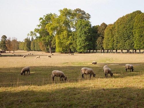 Никола Летний 22 мая 2019 года: традиции, обычаи и приметы
