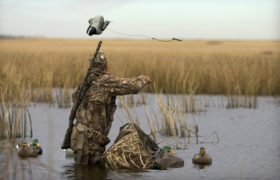 Охота с подсадной уткой