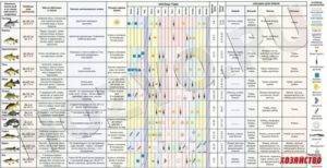 В какую погоду лучше ловить рыбу