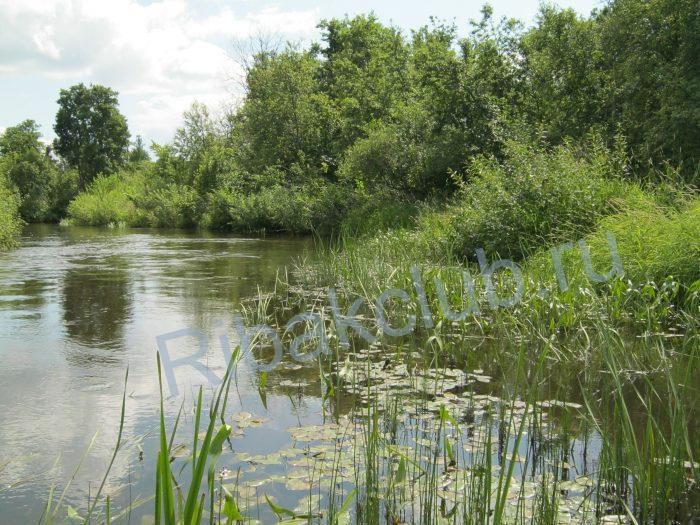 Погода для рыбалки