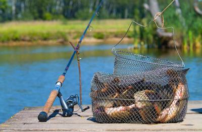 Как погода влияет на рыбалку? В какое время самый лучший клев?