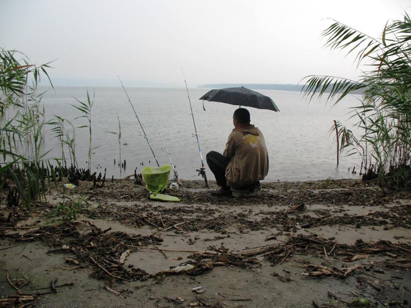 Почему рыба не клюет? влияют ли ветер, дождь, давление и погода на рыбалку
