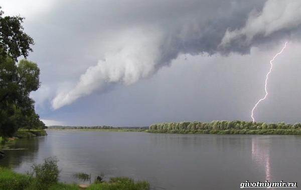 Погода-для-рыбалки-Как-влияет-и-в-какую-лучше-идти-на-рыбалку-8