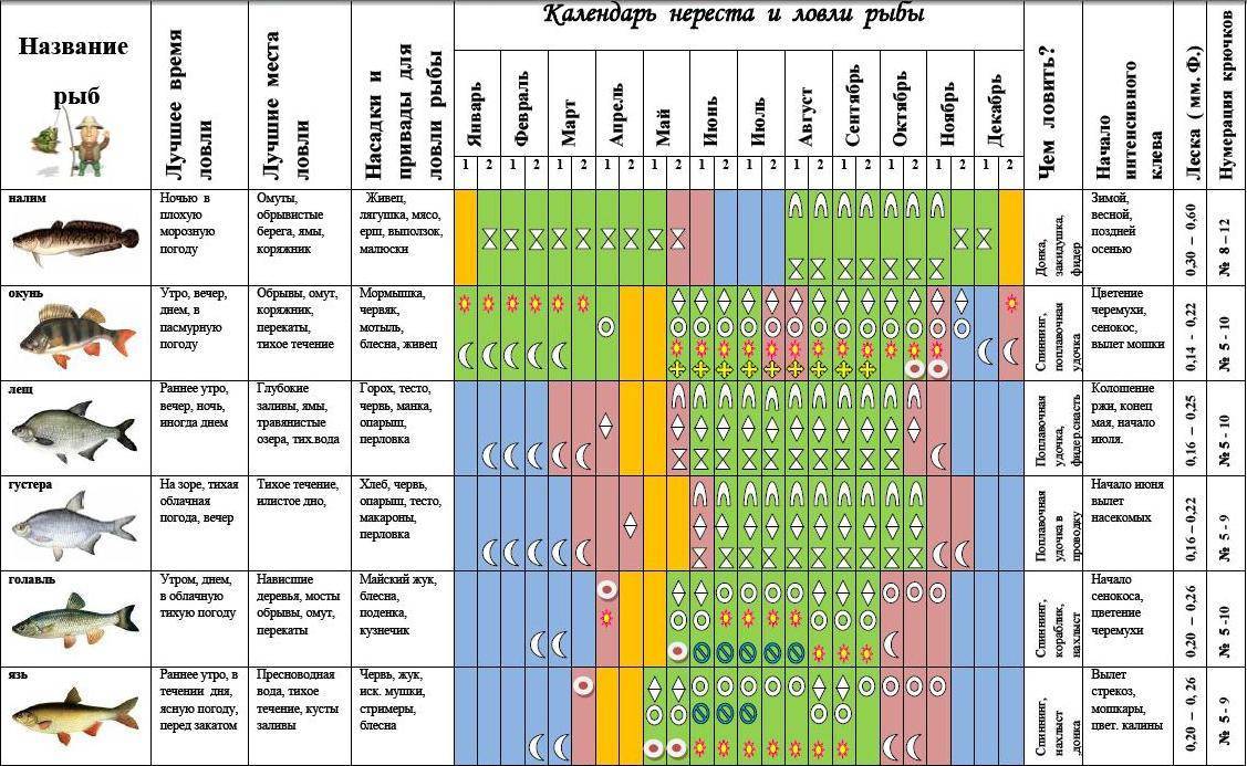 При каком ветре лучше клюет рыба