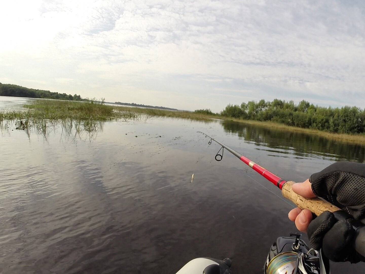 В какую погоду лучше ловить щуку: в дождь, в ветер и давлении