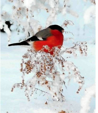 Приметы февраля