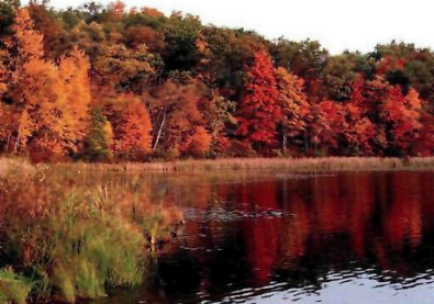 Приметы октября