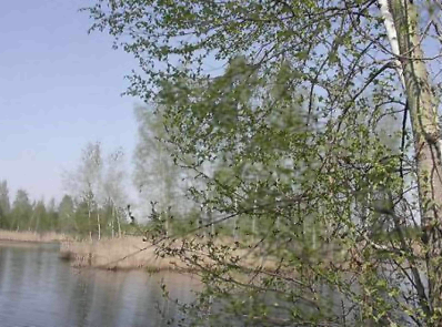 Приметы мая