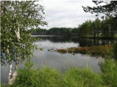 Приметы августа