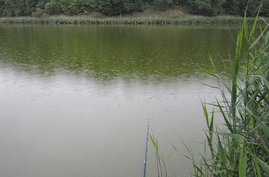 Мелкий дождик. Гладь