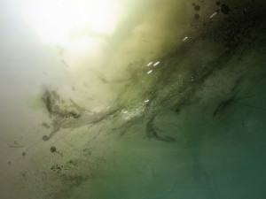 Мутная вода