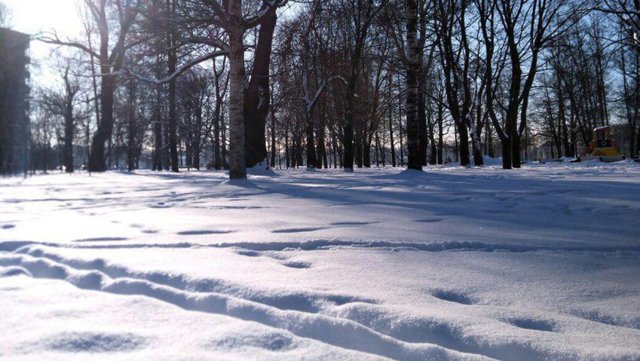 Покров день: что за праздник, какого числа в 2018, обряды