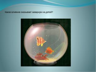Какое влияние оказывает аквариум на детей? 