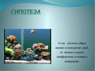 ГИПОТЕЗА Если изучить образ жизни и поведение рыб, то можно создать комфортны