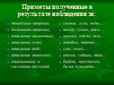 Приметы полученные в результате наблюдения за: объектами природы; явлениями природы; поведение насекомых; поведение птиц; поведение рыб; поведение животных; изменениями в состоянии растений. солнце, луна, небо… ветер, туман, роса… мошки, пчёлы, осы… воробьи, вороны… сом, голец… кошка, собака, овца..