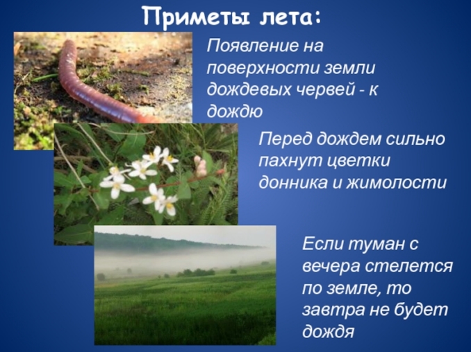 презентация по теме народные приметы и погода